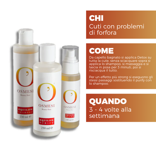 Kit Antiforfora